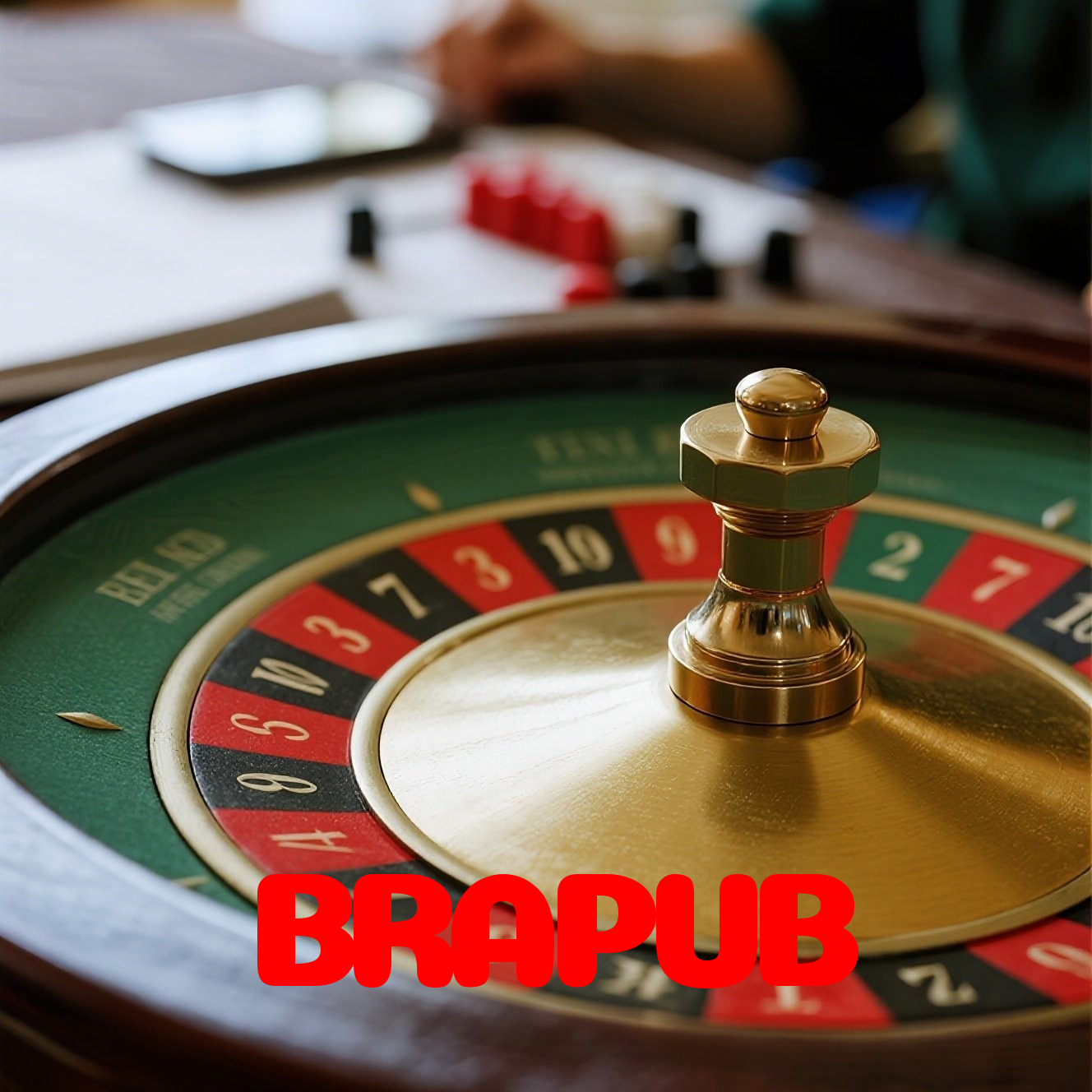Login no BRAPUB